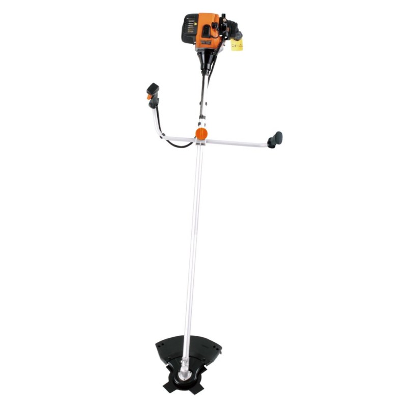 catalogo_632070.jpg