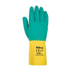 catalogo_622-dorso.jpg
