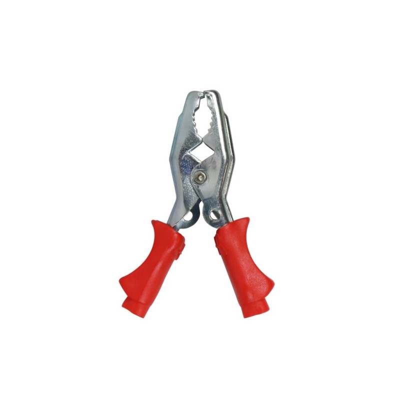 catalogo_TE-804173.jpg