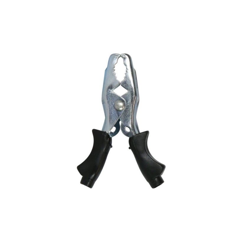 catalogo_TE-804177.jpg
