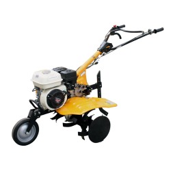 catalogo_5418525.jpg