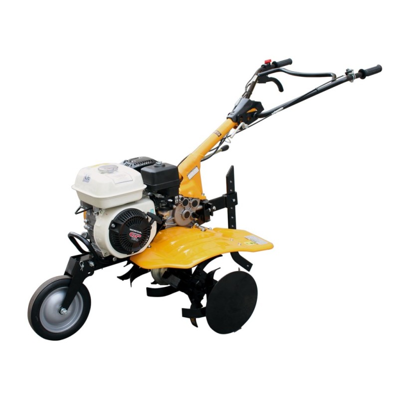 catalogo_5418525.jpg