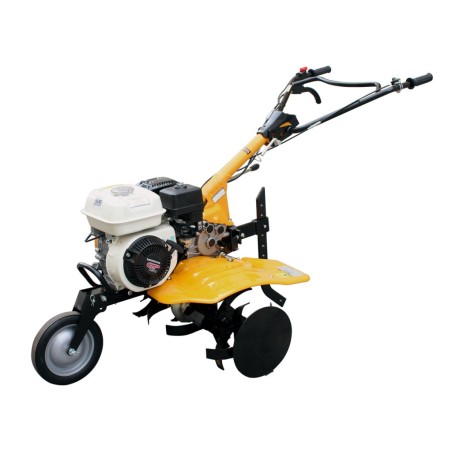 catalogo_5418525.jpg