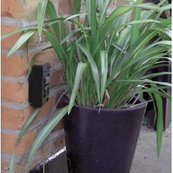 catalogo_1049.jpg