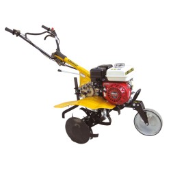 catalogo_5418605.jpg