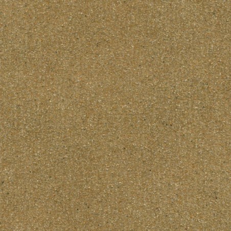 catalogo_MSE-SIM.jpg