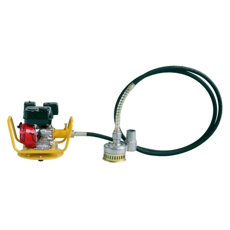 catalogo_610850.jpg