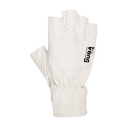 catalogo_217C-dorso.jpg